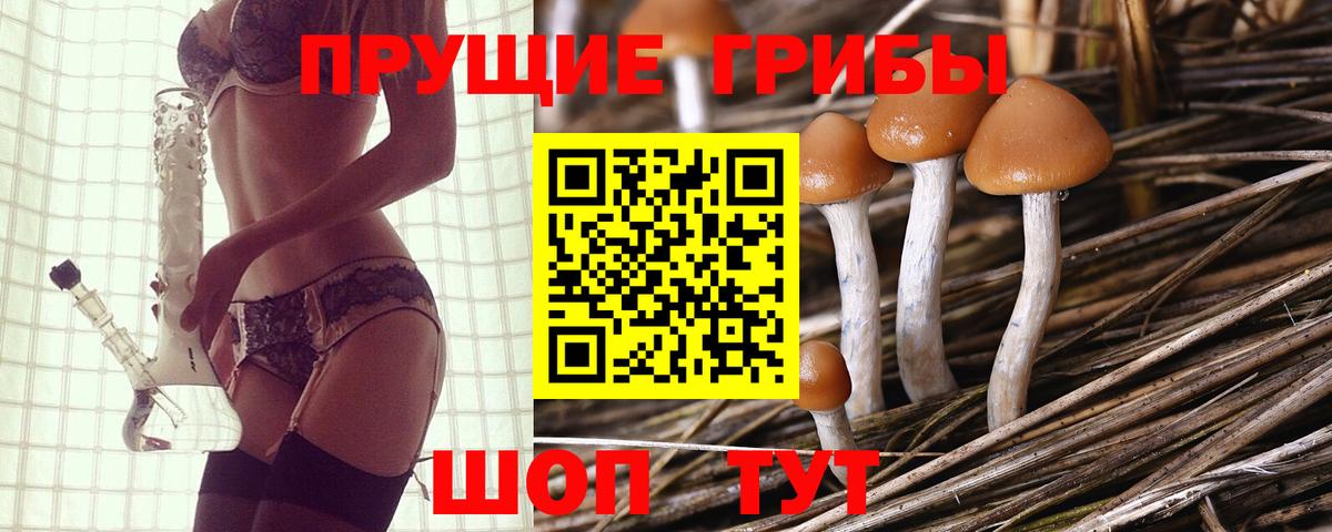 Галлюциногенные грибы Psilocybe  Вход с VPN  Галлюциногенные грибы GOLDEN TEACHER  купить закладку  Минеральные Воды 